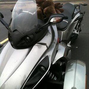 Moosie, after the long ride to get to Spyderfest