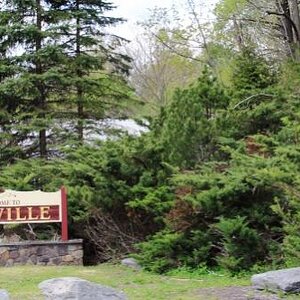 IMG 1412 (500x334) (2)