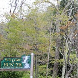 IMG 1557 (500x334) (2)