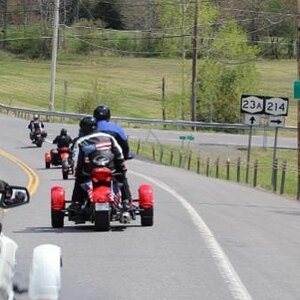 IMG 1565 (500x334) (2)