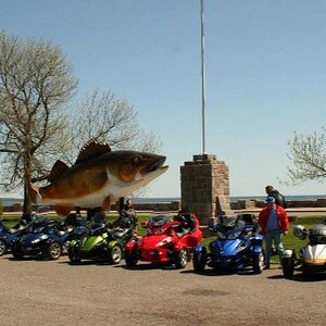 Giant Walleye in Garrison, MN