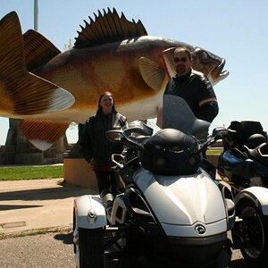 Kathy & Dave (P0PS 57)