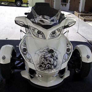 Lisa Spyder 2 For Bonehead (1 of 1)