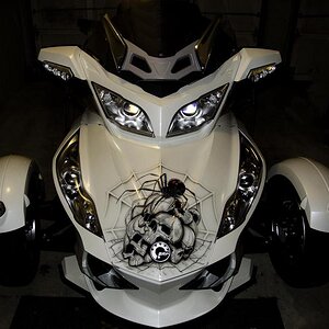 Lisa Spyder 3 For Bonehead (1 of 1)