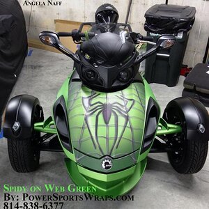 Spidy on web green by: PowerSportsWraps.com
814-838-6377