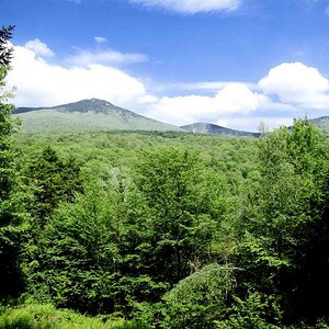 Mountains View (1 of 1)