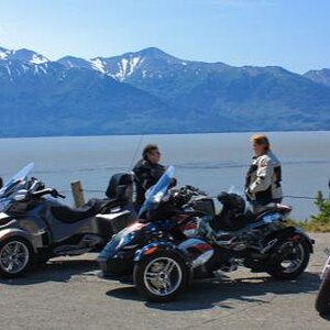 spyders along turnagain