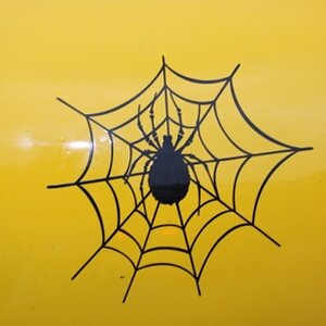 Forrest's Spyder on his trailer.