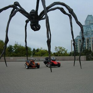 Lil Pumpkin and Red October under "Maman" Ottawa Spring 2009