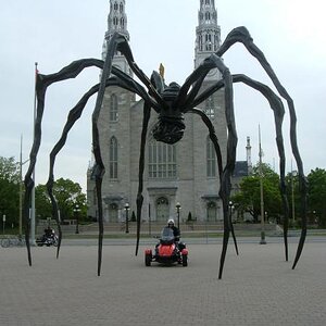 Giant Spider Sculpture "Maman" outside Natinal Gallery, Ottawa Spring 2009
