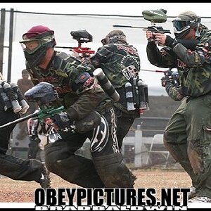 nppl 07 1st place in D3 didn't lose a game