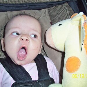 "Missy" at 3 months.  Wonder what she was thinking!