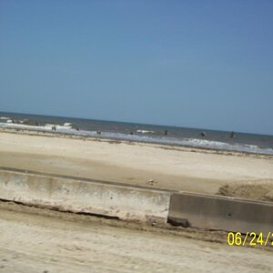 Pelicans flying, Bolivar Peninsula, TX