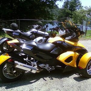 spyders by reservoir