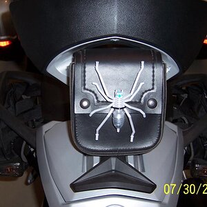 Small sissy bar bag with spider wheel spoke accessory.