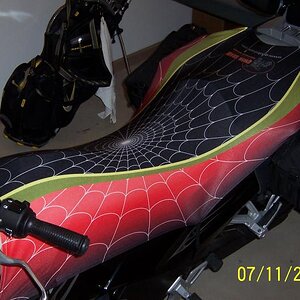 Qwik Shade cover in spider web design.  No longer in production.