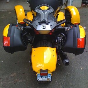 saddlebags rear view