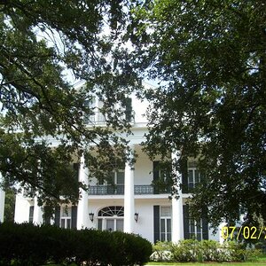 The Manor through the trees.