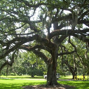 So many to chose from.