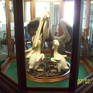 Don't remember but this is a LA symbol. Mother pelican and her 3 offspring.