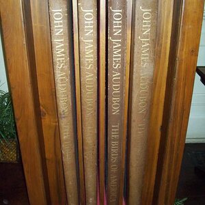 JJ Audubon books; originals. Only 3 or 5 in existence.