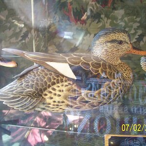 In a glass case. The following bird scuptures are hand done taking more than 400 man hours of work a piece. The detail was exquisite and very minute. 