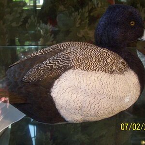 Ducks from the same artist as before.