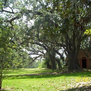 The buttery; where that marble tub and coffee pot and well are located.