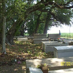 Cemetery on plantation ground adjacent.