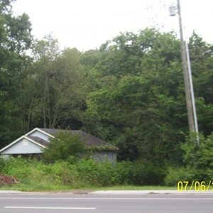 Decay and overshadowing.