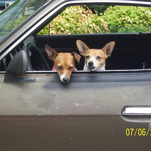 Drink stop and these guys were on the side of us.