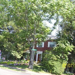 Lots of patriotism in Greeneville, TN.