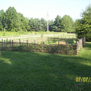 Garden surrounded by a great fence.
