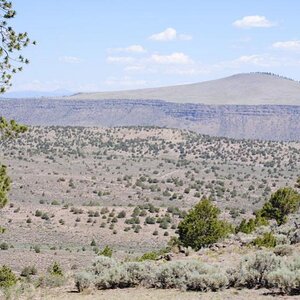 The Train Crosses the Desert