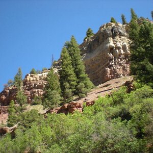 Along the Royal Gorge