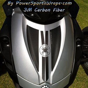 "RS Spider Shield"  Trunk insert kit in Carbon Fiber 3M Film.  Order 814-838-6377