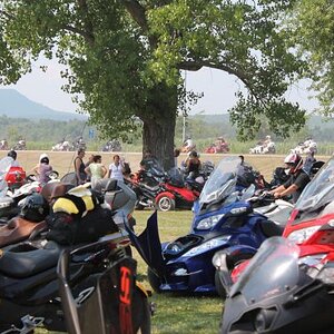 Parade:  look at the Spyders way in the back ground coming back from the parade. I am the first one on the right side of the tree (still on the road).