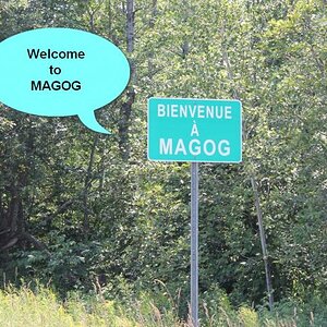 Parade:  not sure how they stuck that English bubble!