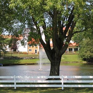 Parade: another great view