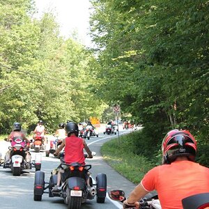Parade: More trees than buildings!