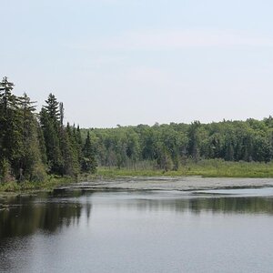 Parade: plenty of nature to look at