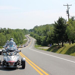 Parade:  view from behind