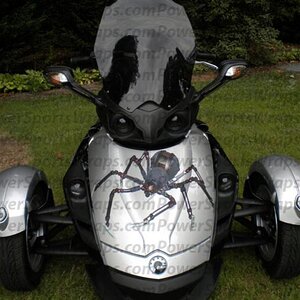 mechanical spider decal kit- pre-cut to shape for Spyder RS