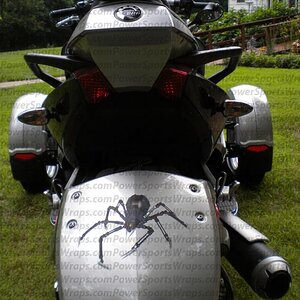 Mechanical spider decal for rear fender of RS. Powersportswraps.com  814-838-6377