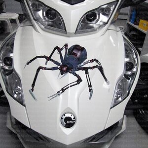 Mechanical spider trunk decal for RT.  Just peel and stick to apply.