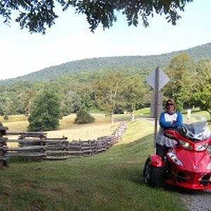 283629 4257400193837 706468693 n (300x200)