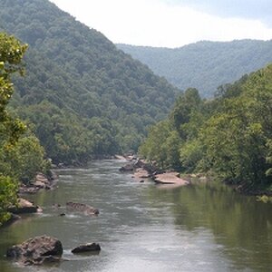 547936 4257390793602 984311639 n (300x225)