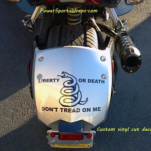 RS Vinyl cut decal for rear fender