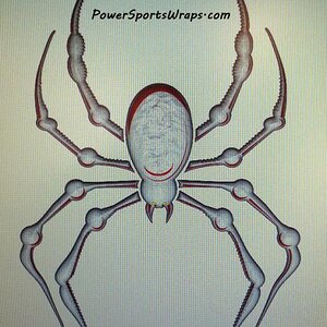 NEW White Bellerdine Spyder... Offering you another option for the Bellerdine Spyder.  These are cut to shape.
814-838-6377