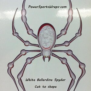 This is a photo of the actual decal before it is cut.  white bellerdine image2

814-838-6377